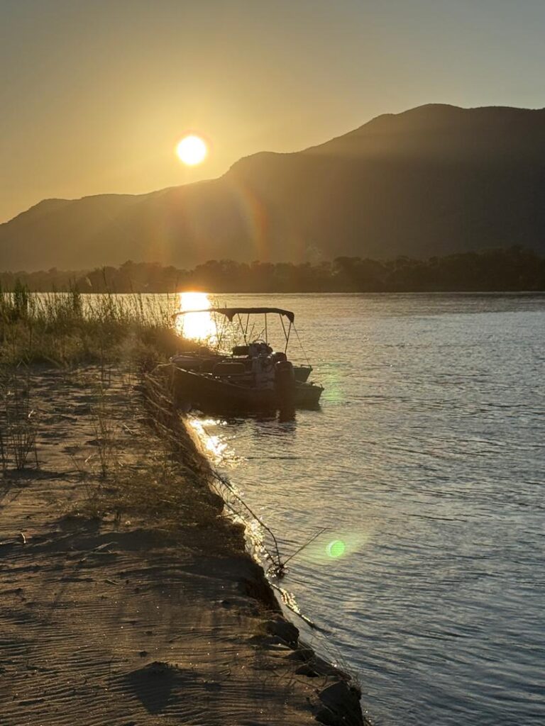 Fishing boat moored among the reeds at sunset on the Zambezi